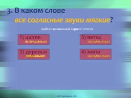 Тест по теме «Фонетика и орфоэпия», слайд 4