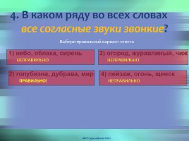 Тест по теме «Фонетика и орфоэпия», слайд 5