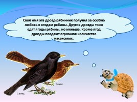 Мир вокруг нас «Как зимой помочь птицам?», слайд 46
