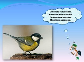 Мир вокруг нас «Как зимой помочь птицам?», слайд 5