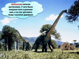 Мир вокруг нас «Когда жили динозавры?», слайд 15