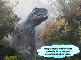 Мир вокруг нас «Когда жили динозавры?», слайд 25