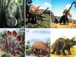 Мир вокруг нас «Когда жили динозавры?», слайд 7