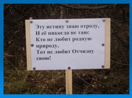 Проект «Береги то, что создано природой», слайд 15