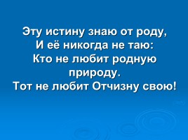 Проект «Береги то, что создано природой», слайд 8