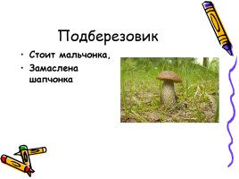 В царстве грибов, слайд 10