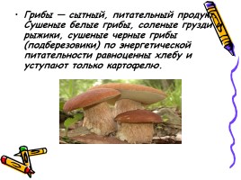 В царстве грибов, слайд 2
