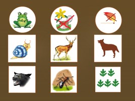 Экологические знаки (иллюстрации), слайд 2