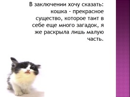 Исследование на тему: «Роль физики в жизни кошки», слайд 35