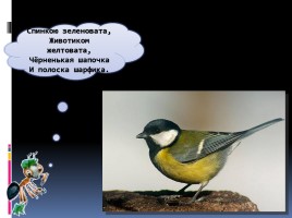 Птицы - наши друзья, слайд 13