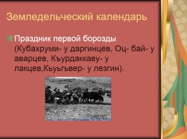 День Дагестанской культуры и языков, слайд 9