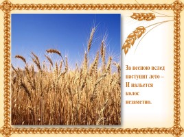 16 октября - Международный день хлеба, слайд 10
