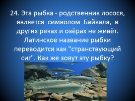 Игра «Реки Сибири», слайд 52