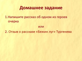 И.С. Тургенев «Бежин луг», слайд 65