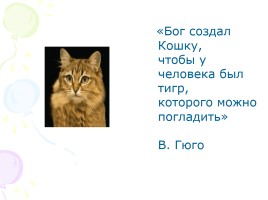 Проект «Удивительные животные - Кошки», слайд 3