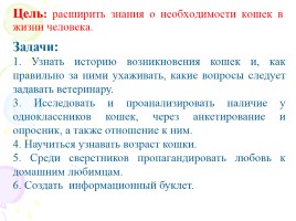 Проект «Удивительные животные - Кошки», слайд 4