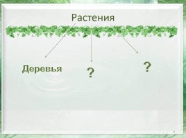 Какие бывают растения?, слайд 4