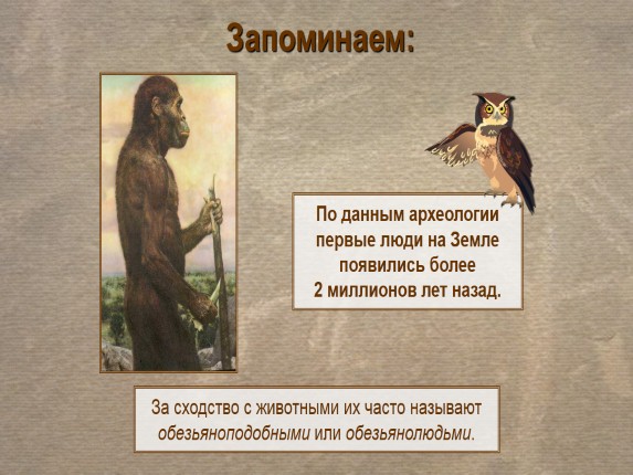 Презентация «Первые люди на Земле»