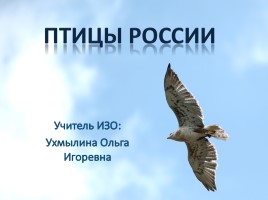 Урок ИЗО «Птицы России», слайд 1