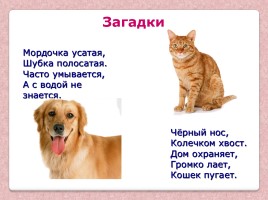Урок по литературному чтению во 2 классе - В. Берестов «Кошкин щенок», слайд 7