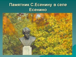 Конкурс чтецов, посвящённый 120-летию С.А. Есенина «Он поэт родной земли», слайд 38