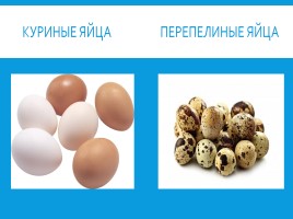 Яйца и блюда из них, слайд 4