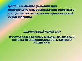 Открытое занятие педагога дополнительного образования «Веточка мимозы», слайд 4