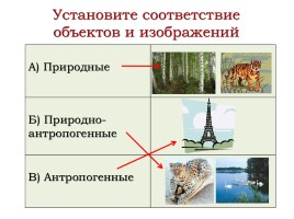 Экологическое право, слайд 17