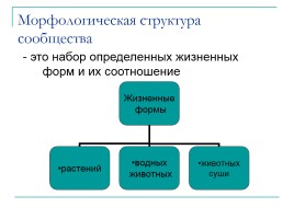 Состава и структура сообщества, слайд 10