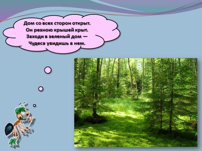 Презентация - Мир вокруг нас «Почему в лесу нужно соблюдать тишину»