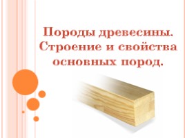 Породы древесины - Строение и свойства основных пород, слайд 1