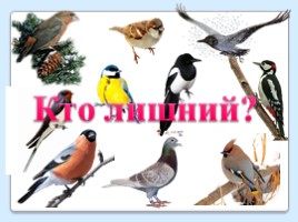 Как помочь птицам зимой, слайд 10