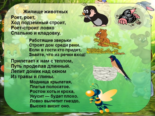 Презентация - Окружающий мир 1 класс «Как живут животные?»