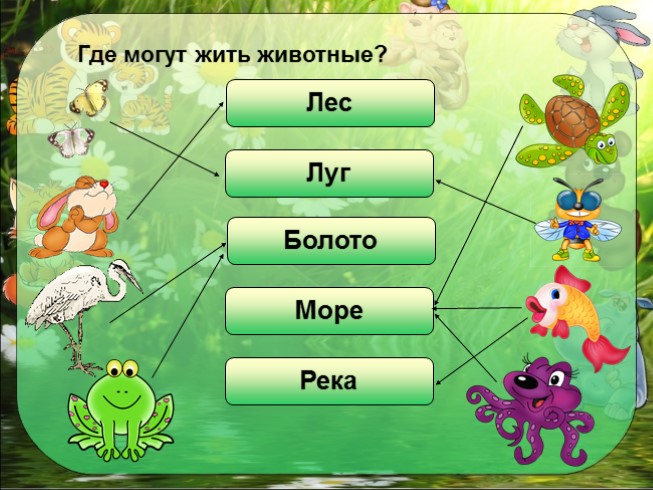 Презентация - Окружающий мир 1 класс «Как живут животные?»