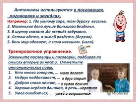 Исследовательская работа по русскому языку на тему «Антонимы», слайд 10
