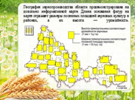 Сельское хозяйство - Растениеводство Оренбургской области, слайд 8