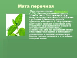 Редкие растения Крыма (к урокам Культура добрососедства и Окружающий мир), слайд 12