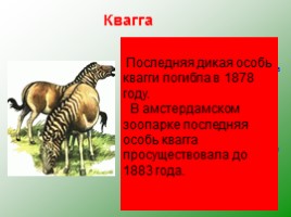 Влияние человека на животных, слайд 14