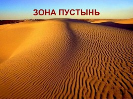 Своя игра «По природным зонам России», слайд 11