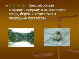 Открытый урок «К 20-летию принятия Конституции Российской Федерации», слайд 19