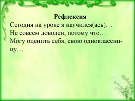 «НЕ» с именами существительными, слайд 11