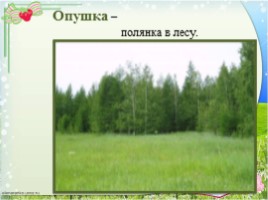 Литературное чтение 2 класс 52 урок - Виталий Валентинович Бианки «Музыкант», слайд 24