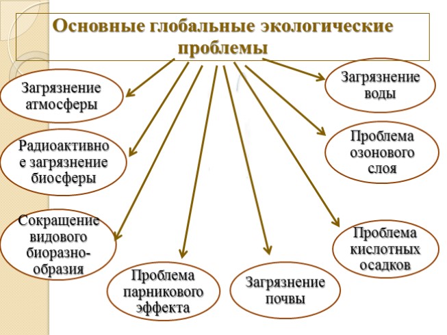 Презентация Глобальные экологические проблемы