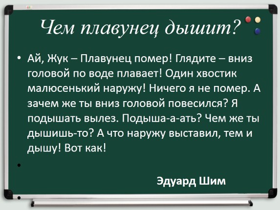 Презентация «Монолог и диалог - Оформление диалога на письме»