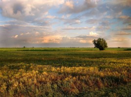 Урок литературного чтения в 3 классе - Урок 15 - И. Никитин «Полно, степь моя, спать беспробудно…», слайд 18