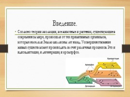 Ароморфозы, слайд 2