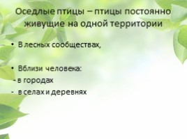 Птицы Кемеровской области, слайд 3