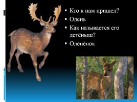 Для будущих первоклассников «В гостях у зверей», слайд 6