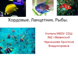 Лекция по теме «Рыбы», слайд 1