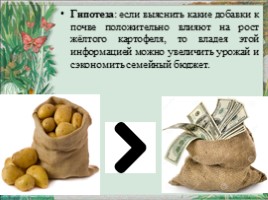 Исследовательская работа «Выращивание картофеля на приусадебном участке» Часть 2, слайд 6